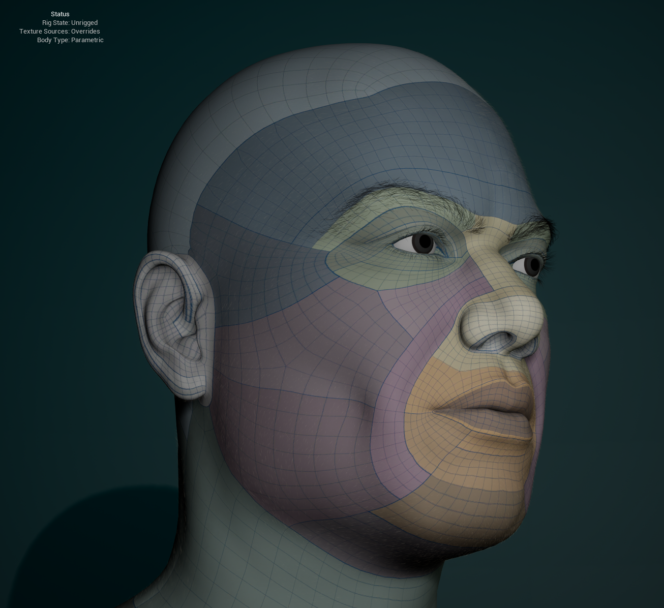 Custom Character — Topology